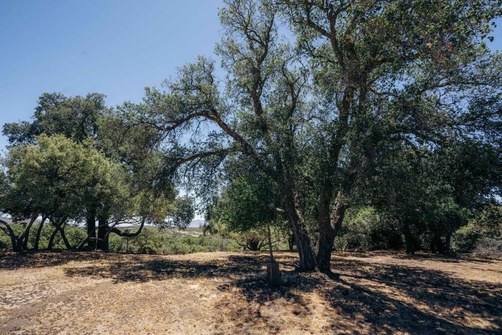 Country Cowboy Hot Tub Hideaway On 20 Acres Βίλα Borrego Springs Εξωτερικό φωτογραφία